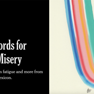 “The New Words for Our New Misery” – The New York Times