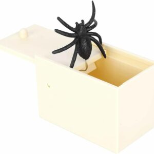 “This doggone little spider got six of us women laughing so hard…”