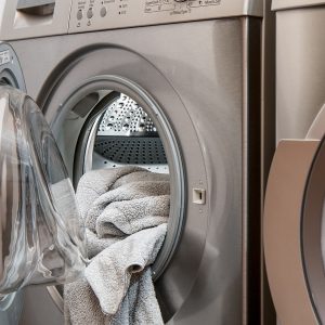 “There were two dead mice in my washing machine.”