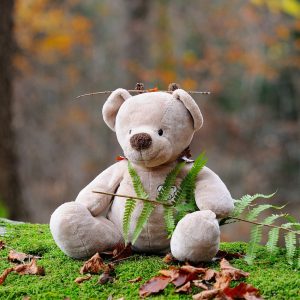 “They got to bring a stuffed toy with them and leave it at the library.”