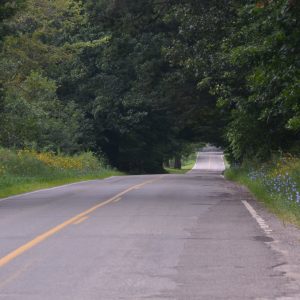 “That’s just how roads work, what are you talking about?!”