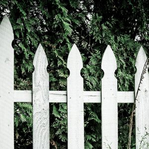 “Oh my gosh, Grandpa would love a bundle of fence posts!”