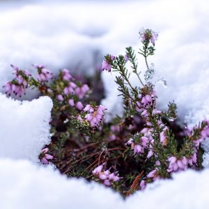 “It’s easy to think that you wouldn’t be affected by it until you’re in the depths of February.”