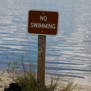 “And this mom really wanted us all to go swimming”