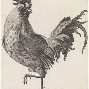 “Later, the neighbor mentioned that their rooster had disappeared.”