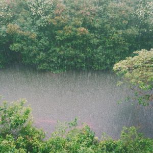 “Literally, like the snap of your fingers, went from beautiful sunny skies to torrential rain just pouring down.”