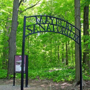 “We saw the most adorable thing there at Maybury State Park.”