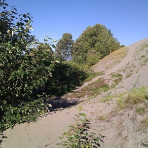 “I had kinda been after my parents to take a walk over the sand hill.”