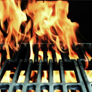 “You lit a tree on fire when you grilled”