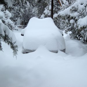 “I couldn’t even tell if my car was moving, because the whiteout was so whiteout.”